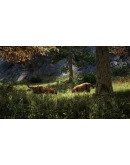 Far Cry 4 (Русский язык) / Подарки / Online Game Far Cry 4 (Русский язык) / Подарки / Online Game