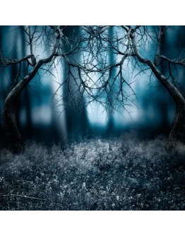 BURAGOZZ, Z3D - Истина