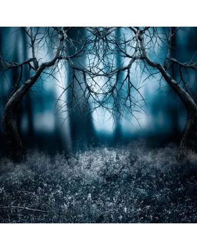 BURAGOZZ, Z3D - Истина