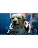 Marvel's Guardians of the Galaxy RUUABY STEAM Marvel's Guardians of the Galaxy RUUABY STEAM