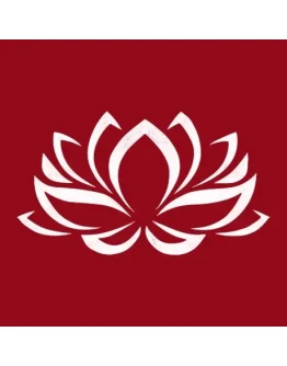 SanKosha Sanskrit Dictionar iPhone ios iPad Appstore