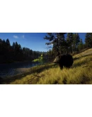 Way of the Hunter АВТОДОСТАВКА STEAM РОССИЯ