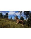 Way of the Hunter Elite Edition STEAM GIFT РОССИЯ