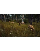 Way of the Hunter Elite Edition STEAM GIFT РОССИЯ