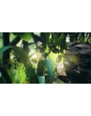 Big Earth АВТОДОСТАВКА STEAM GIFT РОССИЯ