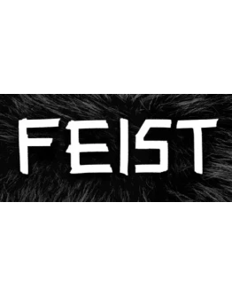 FEIST АВТОДОСТАВКА STEAM GIFT РОССИЯ