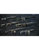 Insurgency: Sandstorm - Hunter Weapon Skin Set DLC St