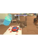 My Universe - Puppies &amp Kittens STEAM GIFT RU