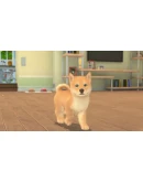 My Universe - Puppies &amp Kittens STEAM GIFT RU