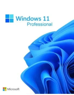 Windows 11 Pro (Профессиональная)