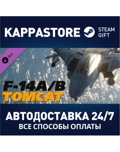 DCS: F-14 by Heatblur Simulations DLC Steam Gift Росс