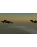 F-15C: The Georgian War Campaign DLC Steam Gift Росси