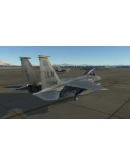 F-15C: Red Flag Campaign DLC Steam Gift Россия