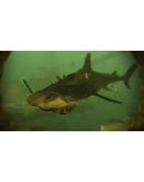 Depth - Legendary Hammerhead Skin DLC STEAM GIFT RU