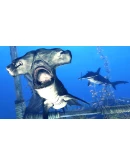 Depth - Legendary Hammerhead Skin DLC STEAM GIFT RU