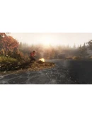 Subsistence Steam Gift Россия