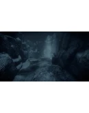 ShadowSide АВТОДОСТАВКА STEAM GIFT RU