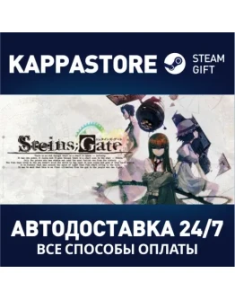 STEINSGATE Steam Gift Россия