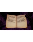 The Redress of Mira АВТОДОСТАВКА STEAM РОССИЯ