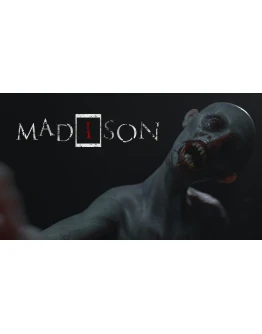 MADiSON (STEAM)