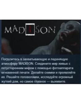 MADiSON АВТОДОСТАВКА STEAM РОССИЯ