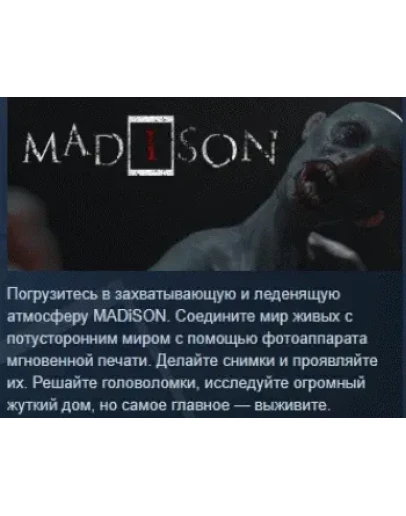 MADiSON АВТОДОСТАВКА STEAM РОССИЯ