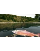 Ultimate Fishing Simulator Steam Gift Россия