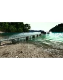 Ultimate Fishing Simulator Steam Gift Россия