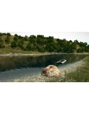 Ultimate Fishing Simulator Steam Gift Россия