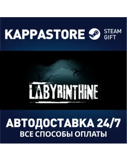 Labyrinthine Steam Gift Россия