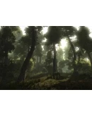 Risen Steam Gift Россия