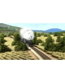 Derail Valley Steam Gift Россия