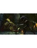 Divinity II Developer's Cut Steam Gift Россия