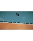 PIPE by BMX Streets Steam Gift Россия