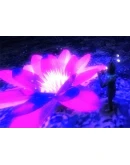 New kind of adventure Steam Gift Россия