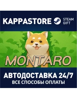 Montaro Steam Gift Россия