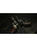 Hunt: Showdown - Double or Nothing DLC Steam Gift Рос