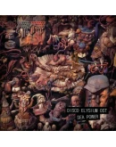 Disco Elysium - Soundtrack &amp Artbook DLC Steam Gift