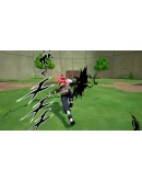 NTBSS: Master Character Training Pack - Kakashi Hatake