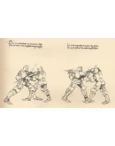 Дуэллаторум - трактат о западных единобороствах