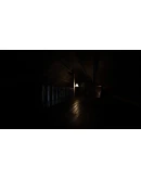 Remnant Records АВТОДОСТАВКА STEAM РОССИЯ