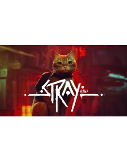 STRAY Steam + Подарки