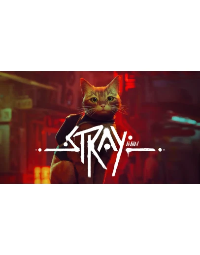 STRAY Steam + Подарки