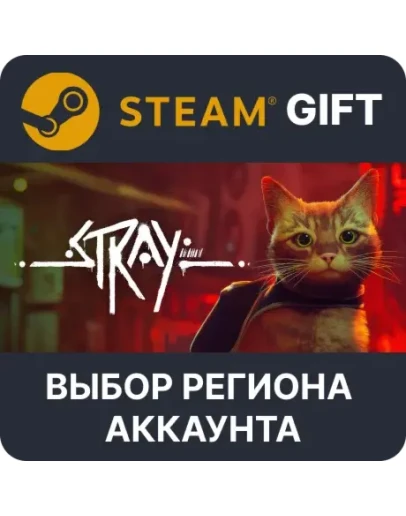 Stray Steam - Выбор Региона