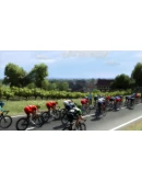 Pro Cycling Manager 2014 АВТОДОСТАВКА STEAM РОССИЯ