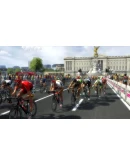 Pro Cycling Manager 2014 АВТОДОСТАВКА STEAM РОССИЯ