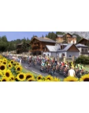 Pro Cycling Manager 2015 АВТОДОСТАВКА STEAM РОССИЯ