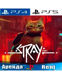 Stray (PS4/PS5/RUS) Аренда