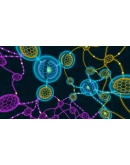 Darknet АВТОДОСТАВКА STEAM GIFT FOR RUSSIA