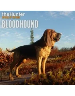 theHunter: Call of the Wild - Bloodhound Steam Global